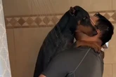 Hund hasst Wasser über alles: Wie sein Herrchen ihn zum Duschen bringt, sorgt für so viele Lacher