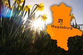 Frühling dreht auf: Sonne satt in Sachsen-Anhalt