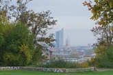 Beliebtes Ausflugsziel in Leipzig: Wie wird sich unser Fockeberg verändern?