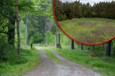 Tod nach Techno-Party? 21-Jährige leblos im Wald entdeckt! Jugendlicher (16) festgenommen