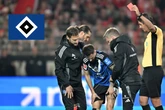 Ist das Rot? Schiri Aytekin erklärt Platzverweis für HSV-Profi Fábio Vieira
