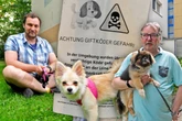 Treibt hier ein Hundehasser sein Unwesen? Chemnitzer Herrchen in Angst vor Giftködern