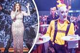 Besucher, Suppe, Entenkeulen: Dresdens Dinnershows in Zahlen