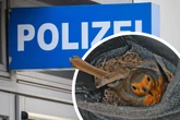 Wer brütet denn da? Polizei hat jetzt ganz offiziell einen Vogel