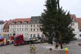 Es wird besinnlich in Sachsen! Hier wird der 16 Meter große Weihnachtsbaum aufgestellt