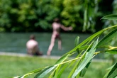 Hubschrauber, Taucher, Drohne: Große Suche nach Eisbach-Schwimmer, doch der war längst daheim