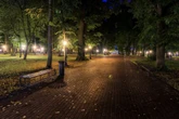 Erfurt: Junge Frau im Park verfolgt und angegriffen