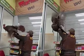 Tierischer Kunde verirrt sich im Supermarkt - Polizei jagt dem Chaos hinterher