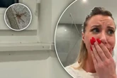 "Sie sind einfach überall": Reality-Star wird von 200 Babyspinnen heimgesucht
