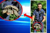 Kurioser Einsatz in Unterfranken: Polizei holt bissige Schildkröte von Fahrradweg