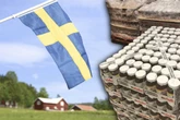 Schwedische Stadt hat ein Nutella-Problem: Das ist der kuriose Grund