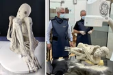 "100 Prozent echt": Ufologen verkünden neue Erkenntnisse zu mysteriösen "Alien-Mumien aus Peru"