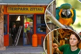Einzige Augenzeugin: Papagei-Dame Frieda erlebt Einbruch in Zittauer Zoo