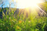 Horoskop heute: Tageshoroskop kostenlos für den 20.4.2026
