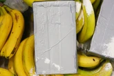Bananenkisten samt Koks im Hamburger Hafen: Drogen-Razzia und Festnahmen im Norden