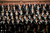 Benefizkonzert des Dresdner Kreuzchors für Krebserkrankte