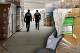 Rekord: 250.000 illegale Vapes in Lagerhalle entdeckt, zwei Männer in U-Haft