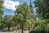 Für den Trinitatisplatz ist eine Schönheitskur geplant
