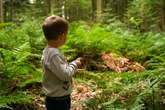 Alleine im Wald voller Bären: Kleiner Junge überlebt drei Tage in der Wildnis