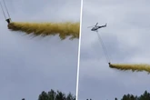 Zum Schutz der Wälder: Dieses Mittel versprühen Helikopter jetzt über Sachsen