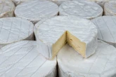Zwei Tote nach Käse-Verzehr: Warnung für Deutschland herausgegeben