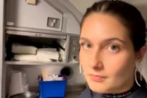 Flugbegleiterin kann nicht glauben, was Passagierin ihr für eine Frage stellt