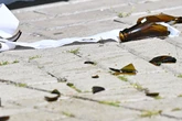 Blutige Kneipen-Eskalation: Mann schlägt mit Bierflasche mehrfach auf Kopf eines 67-Jährigen ein