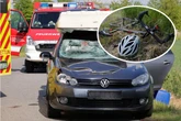 Radfahrer bei Crash mit VW in Frankenberg schwer verletzt - Rettungshubschrauber im Einsatz!