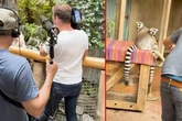 Neue Folgen von "Leopard, Seebär & Co."? In Hagenbeck wird gedreht