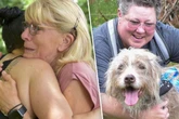 Nach sieben Jahren im Tierheim: Beim Abschied von Hund Kylo bleibt kein Auge trocken