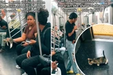 Streunendes Kätzchen verläuft sich in U-Bahn und besiegelt damit sein Schicksal