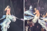 Großer Schreck bei Katy Perry: Sängerin reitet Schmetterling - doch dieser sackt plötzlich in die Tiefe