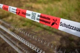 Nach Fall von Schweinepest: Plötzlich weitere tote Wildschweine entdeckt