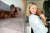 Frauchen will mit Dackel rausgehen: Die Reaktion des Hundes lässt Lachtränen fließen