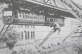 Heute vor 76 Jahren: Der legendäre Schwebebahn-Unfall mit Elefant Tuffi