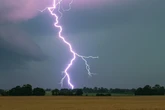 Unfälle, umgestürzte Bäume, kaputte Stromleitung: Unwetter sorgt für Chaos in Thüringen