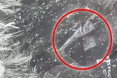 Mann geht nach Streit mit Ehefrau spazieren: Eine Woche später finden ihn Suchtrupps in einer Höhle