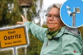 An Gummibändern verendet: Tödliches Storchendrama am Horst