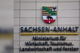 Sachsen-Anhalts Landesportal durch pro-russischen Hackerangriff lahmgelegt
