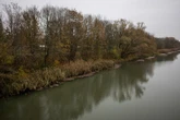 Mensch leblos aus Leipziger Elsterbecken geborgen