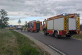 Junger Biker kommt von Straße ab und prallt gegen Baumstumpf