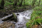 Wälder, Vulkane und Sterne: NRW-Naturparks bieten tolles Programm