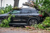 Nach tödlichem Sturm-Chaos: Lage in Berlin wieder normal