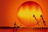 "König der Löwen" für alle: Musical-Klassiker kündigt erste "Relaxed Performance" an