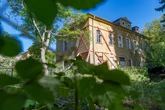 Über Jahrzehnte zugewuchert: Verwuschene Villa in Dresden soll zum Leben erweckt werden