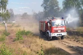 Maximale Gefahrenstufe! Waldbrandgefahr im Ländle steigt