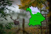 Zwischen Nebel und Niesel: Der Herbst hat Bayern endgültig eingeholt