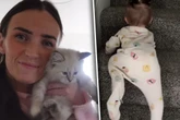 Baby will Treppe erklimmen: Was Katze dann tut, lässt so viele Lachtränen fließen
