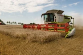 Felder erntereif, doch anhaltender Regen bremst Sachsens Bauern aus
