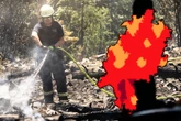 Sommer-Hitze wird extrem: Waldbrandgefahr in Frankfurt und Hessen steigt